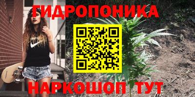 a pvp Новокубанск