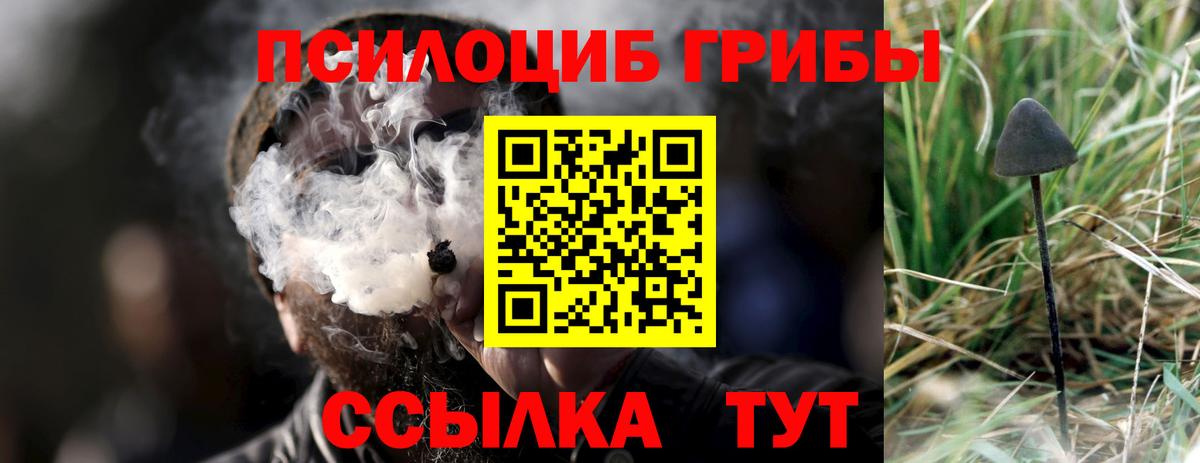 Галлюциногенные грибы Psilocybine cubensis  Вход с VPN  Псилоцибиновые грибы GOLDEN TEACHER  Свободный 
