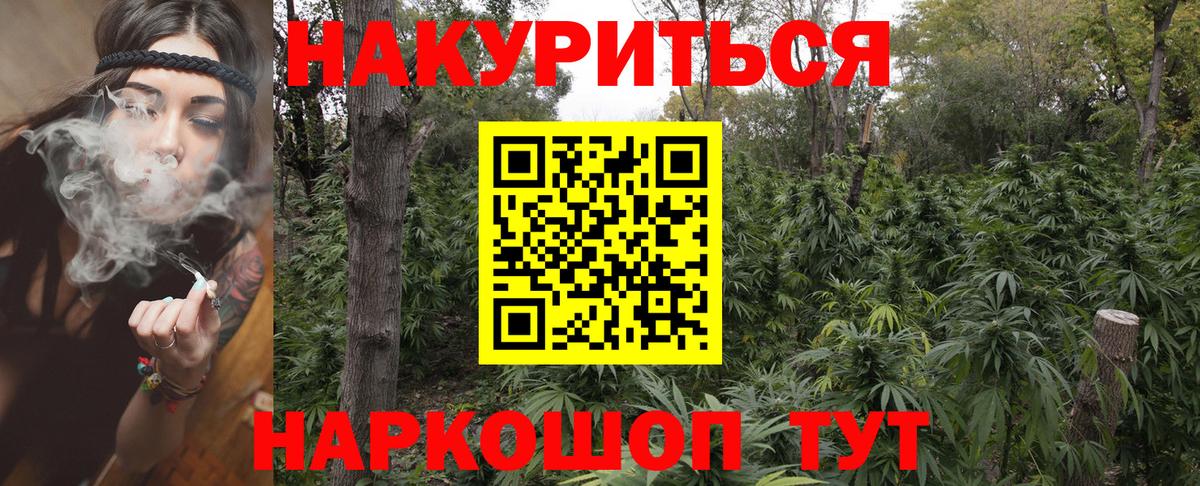 Канабис гибрид Свободный